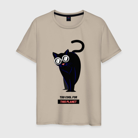 Мужская футболка хлопок с принтом Black Cat   too cool for this planet в Курске, 100% хлопок | прямой крой, круглый вырез горловины, длина до линии бедер, слегка спущенное плечо. | Тематика изображения на принте: в очках | для этого мира | для этой планеты | котик | котяра | кошка | крутой | лето | очки | слишком крут | хитрый кот | чёрный | черный кот