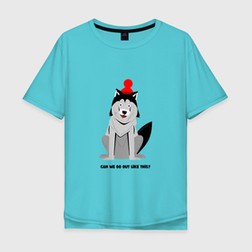 Мужская футболка хлопок Oversize с принтом Хаски в шапке в Екатеринбурге, 100% хлопок | свободный крой, круглый ворот, “спинка” длиннее передней части | зима | ирония | крутой | пес | песель | сарказм | смешной пес | собака | собака в шапке | собакомама | собакоотец | хаски