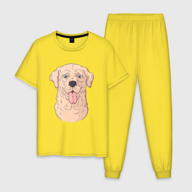 Мужская пижама хлопок с принтом Морда пса с высунутым языком , 100% хлопок | брюки и футболка прямого кроя, без карманов, на брюках мягкая резинка на поясе и по низу штанин
 | пес | песик | собака | собачка | язык