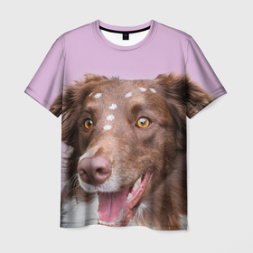Мужская футболка 3D с принтом Веселая Бордер колли в Курске, 100% полиэфир | прямой крой, круглый вырез горловины, длина до линии бедер | dog | бордер | бордер колли | дог | домашние животные | колли | питомцы | собака | собаки