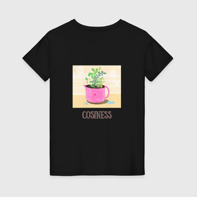 Женская футболка хлопок с принтом Уют в Тюмени, 100% хлопок | прямой крой, круглый вырез горловины, длина до линии бедер, слегка спущенное плечо | горшок | кашпо | лето | природа | растение | сад | солнце | уют | цветок | цветы