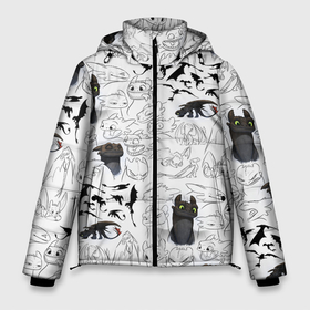 Мужская зимняя куртка 3D с принтом Как приручить дракона паттерн в Новосибирске, верх — 100% полиэстер; подкладка — 100% полиэстер; утеплитель — 100% полиэстер | длина ниже бедра, свободный силуэт Оверсайз. Есть воротник-стойка, отстегивающийся капюшон и ветрозащитная планка. 

Боковые карманы с листочкой на кнопках и внутренний карман на молнии. | Тематика изображения на принте: dragon | how to train your dragon | беззубик | дневная фурия | дракон | как приручить дракона | мультфильм | ночная фурия | фильм