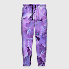 Мужские брюки 3D с принтом фиолетово сиреневые цветы в Тюмени, 100% полиэстер | манжеты по низу, эластичный пояс регулируется шнурком, по бокам два кармана без застежек, внутренняя часть кармана из мелкой сетки | art | flowers | детские | для девочек | женские | полевые | с цветами | сиреневые | фиолетовые | цветочный принт | цветы