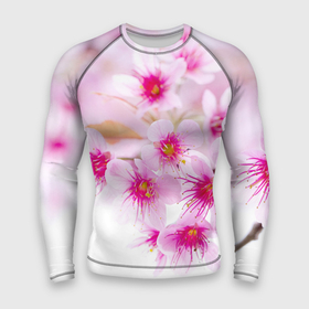 Мужской рашгард 3D с принтом Цвет сакуры ,  |  | вишня | сакура | тветочки | цвет | цветок | японская