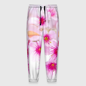 Мужские брюки 3D с принтом Цвет сакуры в Новосибирске, 100% полиэстер | манжеты по низу, эластичный пояс регулируется шнурком, по бокам два кармана без застежек, внутренняя часть кармана из мелкой сетки | вишня | сакура | тветочки | цвет | цветок | японская