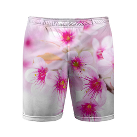 Мужские шорты спортивные с принтом Цвет сакуры ,  |  | вишня | сакура | тветочки | цвет | цветок | японская