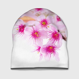 Шапка 3D с принтом Цвет сакуры в Новосибирске, 100% полиэстер | универсальный размер, печать по всей поверхности изделия | вишня | сакура | тветочки | цвет | цветок | японская