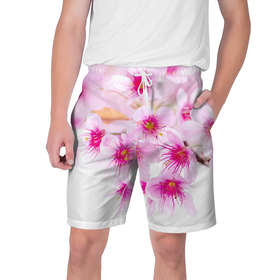 Мужские шорты 3D с принтом Цвет сакуры ,  полиэстер 100% | прямой крой, два кармана без застежек по бокам. Мягкая трикотажная резинка на поясе, внутри которой широкие завязки. Длина чуть выше колен | вишня | сакура | тветочки | цвет | цветок | японская