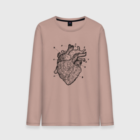 Мужской лонгслив хлопок с принтом Анатомический рисунок сердца в Тюмени, 100% хлопок |  | anatomical | anatomy | biology | heart | medicine | science | vintage | анатомия | биология | винтаж | медицина | наука | орган | органы | сердечки | сердце | человеческое сердце