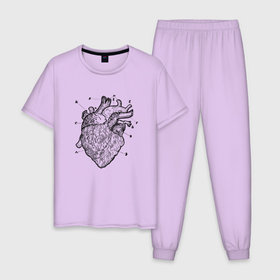 Мужская пижама хлопок с принтом Анатомический рисунок сердца , 100% хлопок | брюки и футболка прямого кроя, без карманов, на брюках мягкая резинка на поясе и по низу штанин
 | Тематика изображения на принте: anatomical | anatomy | biology | heart | medicine | science | vintage | анатомия | биология | винтаж | медицина | наука | орган | органы | сердечки | сердце | человеческое сердце