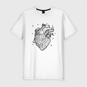Мужская футболка хлопок Slim с принтом Анатомический рисунок сердца в Белгороде, 92% хлопок, 8% лайкра | приталенный силуэт, круглый вырез ворота, длина до линии бедра, короткий рукав | anatomical | anatomy | biology | heart | medicine | science | vintage | анатомия | биология | винтаж | медицина | наука | орган | органы | сердечки | сердце | человеческое сердце
