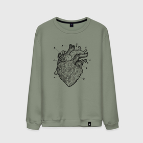 Мужской свитшот хлопок с принтом Анатомический рисунок сердца , 100% хлопок |  | anatomical | anatomy | biology | heart | medicine | science | vintage | анатомия | биология | винтаж | медицина | наука | орган | органы | сердечки | сердце | человеческое сердце