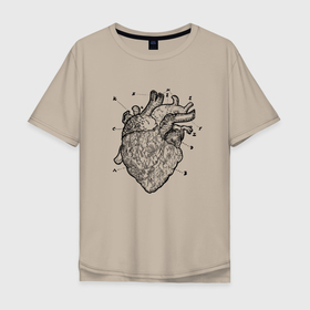 Мужская футболка хлопок Oversize с принтом Анатомический рисунок сердца , 100% хлопок | свободный крой, круглый ворот, “спинка” длиннее передней части | anatomical | anatomy | biology | heart | medicine | science | vintage | анатомия | биология | винтаж | медицина | наука | орган | органы | сердечки | сердце | человеческое сердце
