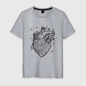 Мужская футболка хлопок с принтом Анатомический рисунок сердца в Екатеринбурге, 100% хлопок | прямой крой, круглый вырез горловины, длина до линии бедер, слегка спущенное плечо. | anatomical | anatomy | biology | heart | medicine | science | vintage | анатомия | биология | винтаж | медицина | наука | орган | органы | сердечки | сердце | человеческое сердце