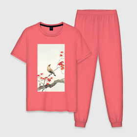Мужская пижама хлопок с принтом Japanese Plague Bird on Maple в Курске, 100% хлопок | брюки и футболка прямого кроя, без карманов, на брюках мягкая резинка на поясе и по низу штанин
 | Тематика изображения на принте: japan | ohara koson | искусство | картины | культура японии | охара косон | птицы | япония | японская | японская анимация | японская культура | японская эстетика | японский стиль