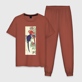 Мужская пижама хлопок с принтом Red and a Blue Parrot в Петрозаводске, 100% хлопок | брюки и футболка прямого кроя, без карманов, на брюках мягкая резинка на поясе и по низу штанин
 | искусство | картины | культура японии | охара косон | попугаи | птицы | япония | японская | японская анимация | японская культура | японская эстетика | японский стиль