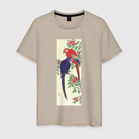 Мужская футболка хлопок с принтом Red and a Blue Parrot в Новосибирске, 100% хлопок | прямой крой, круглый вырез горловины, длина до линии бедер, слегка спущенное плечо. | искусство | картины | культура японии | охара косон | попугаи | птицы | япония | японская | японская анимация | японская культура | японская эстетика | японский стиль