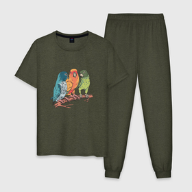 Мужская пижама хлопок с принтом Три волнистых попугая на ветке в Екатеринбурге, 100% хлопок | брюки и футболка прямого кроя, без карманов, на брюках мягкая резинка на поясе и по низу штанин
 | Тематика изображения на принте: cute | parrot | parrots | ветка | волнистый попугай | милота | попуг | попугай | попугайчик | попугайчики | попугчик | с попугаем | с попугаями