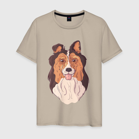 Мужская футболка хлопок с принтом Собачка колли в Петрозаводске, 100% хлопок | прямой крой, круглый вырез горловины, длина до линии бедер, слегка спущенное плечо. | dog | коли | колли | пес | песик | собака | собачка