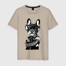Мужская футболка хлопок с принтом Французский бульдог   Cool dude в Тюмени, 100% хлопок | прямой крой, круглый вырез горловины, длина до линии бедер, слегка спущенное плечо. | bulldog | dog | dude | ears | eyes | muzzle | бульдог | глаза | очки | уши | чувак