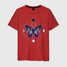 Мужская футболка хлопок с принтом Бабочка фазы луны в Екатеринбурге, 100% хлопок | прямой крой, круглый вырез горловины, длина до линии бедер, слегка спущенное плечо. | butterfly | бабочка | бабочки | батерфляй | крылатая | легкокрылая | луна | лунная | мотылёк | насекомое | новолуние | полнолуние | порхающая