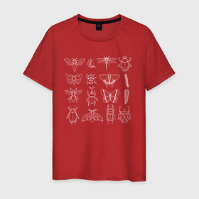 Мужская футболка хлопок с принтом Жуки бабочки гусеницы в Новосибирске, 100% хлопок | прямой крой, круглый вырез горловины, длина до линии бедер, слегка спущенное плечо. | butterfly | бабочка | бабочки | батерфляй | гусеница | жук | крылатая | легкокрылая | мотылёк | насекомое | порхающая | стрекоза