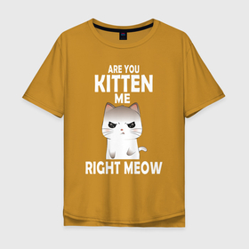 Мужская футболка хлопок Oversize с принтом Ты издеваешься надо мной (игра слов Are you kitten me right meow) в Курске, 100% хлопок | свободный крой, круглый ворот, “спинка” длиннее передней части | Тематика изображения на принте: cat | cats | feline | kitten | kitty | kote | pussy | киса | киска | кисуля | кисуня | кот | котенок | котик | коты | котэ | кошачий | кошечка | кошка | любимой | любимому | любимым | люблю