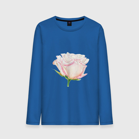 Мужской лонгслив хлопок с принтом Акварельная роза в Петрозаводске, 100% хлопок |  | акварель | аромат | весна | девушка | роза | розовый | сад | флора | цветок