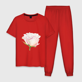 Мужская пижама хлопок с принтом Акварельная роза в Белгороде, 100% хлопок | брюки и футболка прямого кроя, без карманов, на брюках мягкая резинка на поясе и по низу штанин
 | акварель | аромат | весна | девушка | роза | розовый | сад | флора | цветок