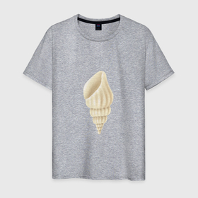 Мужская футболка хлопок с принтом рисунок Коническая ракушка в Белгороде, 100% хлопок | прямой крой, круглый вырез горловины, длина до линии бедер, слегка спущенное плечо. | лето | море | океан | отдых | отпуск | пляж | путешествия | ракушка | тропики | туризм | экзотика