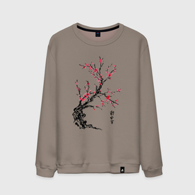 Мужской свитшот хлопок с принтом Сакура с иероглифами в Тюмени, 100% хлопок |  | восток | дерево | сакура | цветение сакуры | япония