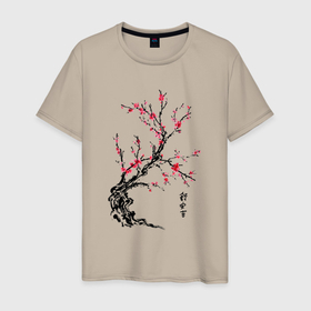 Мужская футболка хлопок с принтом Сакура с иероглифами в Кировске, 100% хлопок | прямой крой, круглый вырез горловины, длина до линии бедер, слегка спущенное плечо. | восток | дерево | сакура | цветение сакуры | япония