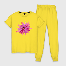 Женская пижама хлопок с принтом Акварельный цветок в Новосибирске, 100% хлопок | брюки и футболка прямого кроя, без карманов, на брюках мягкая резинка на поясе и по низу штанин | акварель | искусство | растение | рисунок | цветок
