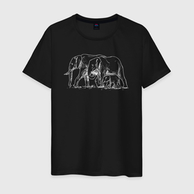 Мужская футболка хлопок с принтом Семья слонов в Екатеринбурге, 100% хлопок | прямой крой, круглый вырез горловины, длина до линии бедер, слегка спущенное плечо. | elephant | азиатский слон | животное | зверь | индийский слон | слон | слоненок | слоник | слониха | слоны | слоняра | уши | хобот | элефант