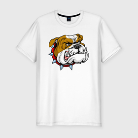 Мужская футболка хлопок Slim с принтом Голова английского бульдога в Екатеринбурге, 92% хлопок, 8% лайкра | приталенный силуэт, круглый вырез ворота, длина до линии бедра, короткий рукав | Тематика изображения на принте: bulldog | dog | english bulldog | английский бульдог | бульдог | бульдоги | животное | пес | песель | песик | собака | собачка | щенок