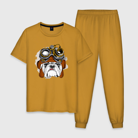 Мужская пижама хлопок с принтом Стимпанк бульдог в Белгороде, 100% хлопок | брюки и футболка прямого кроя, без карманов, на брюках мягкая резинка на поясе и по низу штанин
 | Тематика изображения на принте: bulldog | dog | english bulldog | steampunk | английский бульдог | бульдог | бульдоги | животное | научная фантастика | паропанк | пес | песель | песик | собака | собачка | стим панк | стимпанк | фантастика | щенок