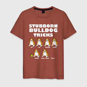 Мужская футболка хлопок с принтом Упрямый английский бульдог в Новосибирске, 100% хлопок | прямой крой, круглый вырез горловины, длина до линии бедер, слегка спущенное плечо. | Тематика изображения на принте: bulldog | dog | english bulldog | английский бульдог | бульдог | бульдоги | животное | пес | песель | песик | собака | собачка | упрямый английский бульдог | щенок
