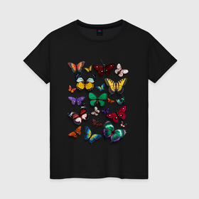 Женская футболка хлопок с принтом Разноцветные бабочки 3d эффект в Тюмени, 100% хлопок | прямой крой, круглый вырез горловины, длина до линии бедер, слегка спущенное плечо | Тематика изображения на принте: 3d | 3d эффект | бабочка | бабочки | насекомые