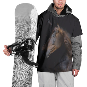 Накидка на куртку 3D с принтом Лошадь. Благородство в Новосибирске, 100% полиэстер |  | благородный | гнедой | голова лошади | животное | конь | лошадь | масть