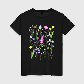 Женская футболка хлопок с принтом Полевые цветы растения акварелью Ботаника в Курске, 100% хлопок | прямой крой, круглый вырез горловины, длина до линии бедер, слегка спущенное плечо | акварельная иллюстрация | ботаника | ботанический | василек | иван чай | кипрей | клевер | колокольчик | лаванда | лютик | одуванчик | растения | ромашка | цветы