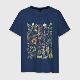 Мужская футболка хлопок с принтом Винтажная иллюстрация разных растений Ботаника в Санкт-Петербурге, 100% хлопок | прямой крой, круглый вырез горловины, длина до линии бедер, слегка спущенное плечо. | ботаника | ботаническая иллюстрация | ботанический | винтаж | винтажный | природа | растения | растительный мир | ретро | цветы