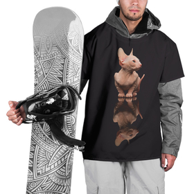 Накидка на куртку 3D с принтом Милый котенок сфинкса в Кировске, 100% полиэстер |  | животное | кот | котенок | котэ | лысая кошка | лысый | сфинкс