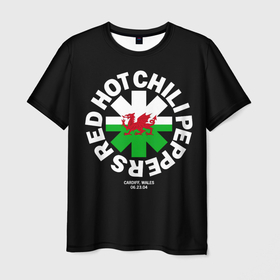 Мужская футболка 3D с принтом Cardiff, Wales: 6 23 04   Red Hot Chili Peppers в Кировске, 100% полиэфир | прямой крой, круглый вырез горловины, длина до линии бедер | red hot chili peppers | rhcp | альтернативный | джош клингхоффер | красные острые перцы чили | метал | ред хот чили пеперс | рок группа | рхчп | рэп | фанк | фли | чад смит | энтони кидис