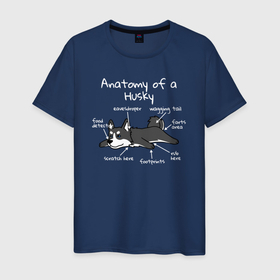 Мужская футболка хлопок с принтом Анатомия хаски в Екатеринбурге, 100% хлопок | прямой крой, круглый вырез горловины, длина до линии бедер, слегка спущенное плечо. | husky | аляскинский маламут | животное | камчатская ездовая | пес | песель | песик | самоедская собака | сибирский хаски | собака | собачка | хаски | щенок