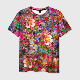 Мужская футболка 3D с принтом САД В ЦВЕТУ в Белгороде, 100% полиэфир | прямой крой, круглый вырез горловины, длина до линии бедер | ботанический | весна | желтый | зеленый | красивый | красочный | лето | лист | маргаритка | милый | натуральный | природа | растения | розовый | садоводство | узор | фиолетовый | цветок | цветущий