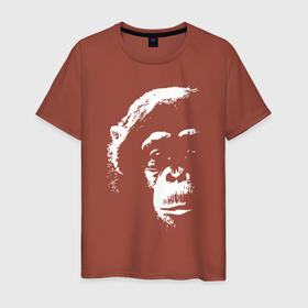 Мужская футболка хлопок с принтом Лик шимпанзе в Белгороде, 100% хлопок | прямой крой, круглый вырез горловины, длина до линии бедер, слегка спущенное плечо. | monkey | гамадрил | мартышка | обезьяна | обезьянка | обезьяны | павиан | примат | шимпанзе