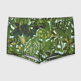Мужские купальные плавки 3D с принтом Зеленые Тропические Растения в Тюмени, Полиэстер 85%, Спандекс 15% |  | flowers | букет | природа | растение | флора | цветы