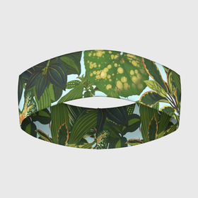 Повязка на голову 3D с принтом Зеленые Тропические Растения в Санкт-Петербурге,  |  | Тематика изображения на принте: flowers | букет | природа | растение | флора | цветы