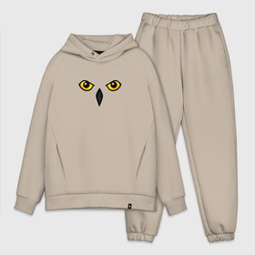 Мужской костюм хлопок OVERSIZE с принтом Совиный взгляд в Кировске,  |  | owl | див | дива | диво | птица | птичка | сова | совка | совушка | совы | сыч | филин