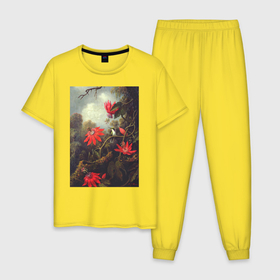 Мужская пижама хлопок с принтом Hummingbird and Passionflowers (Колибри на ветке) в Санкт-Петербурге, 100% хлопок | брюки и футболка прямого кроя, без карманов, на брюках мягкая резинка на поясе и по низу штанин
 | букет | винтаж | джунгли | живопись | картина | классика | колибри | пейзаж | природа | тропики | цветы